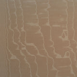 Schumacher Moiré Wallcovering Fawn Wallpaper - Eade's Wallpaper