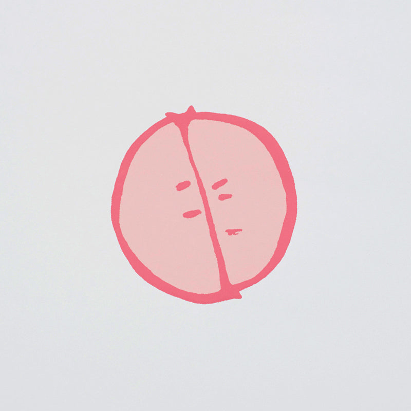 Schumacher Lemonade Grapefruit Wallpaper - Eade's Wallpaper