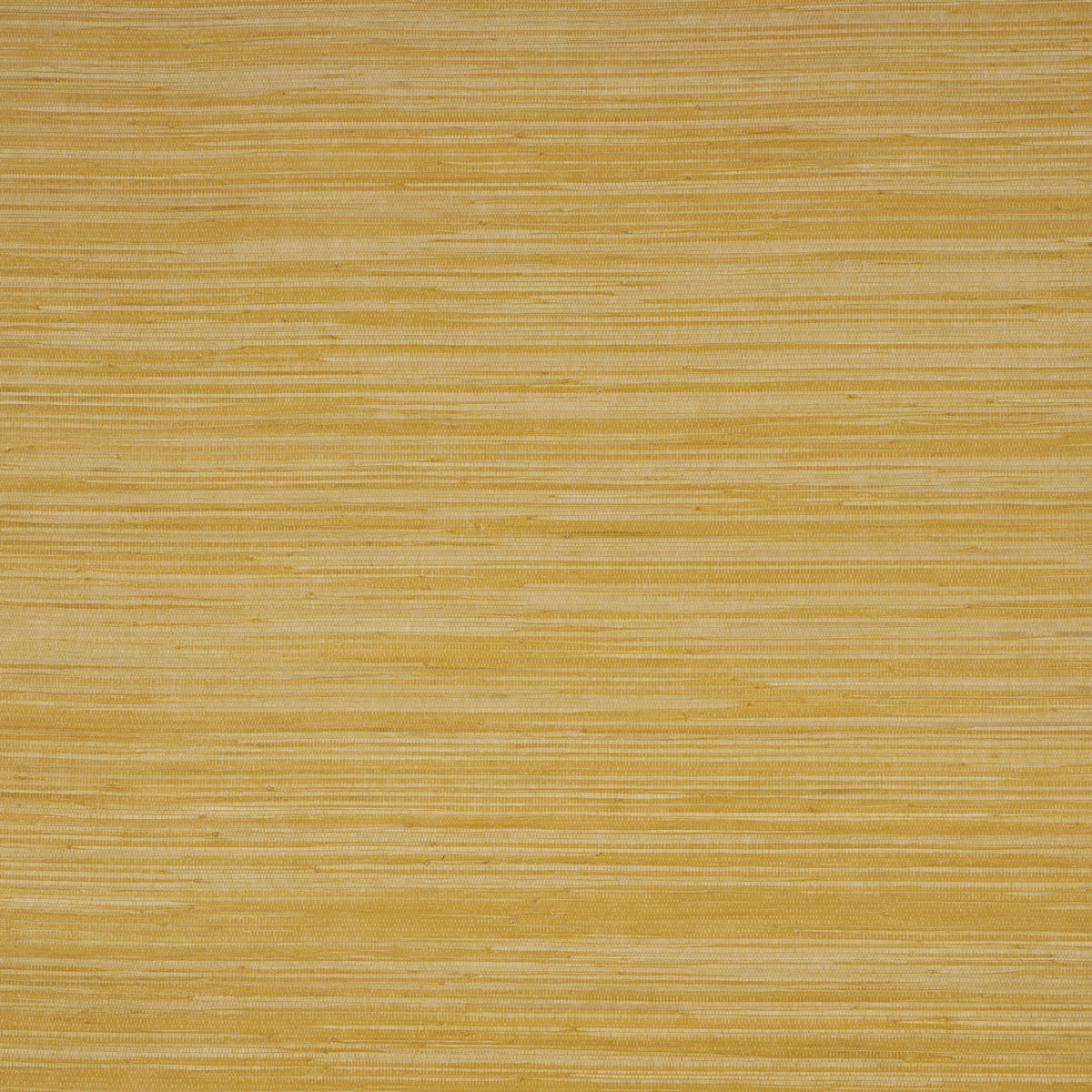 Schumacher Dyed Raffia Yellow Wallpaper