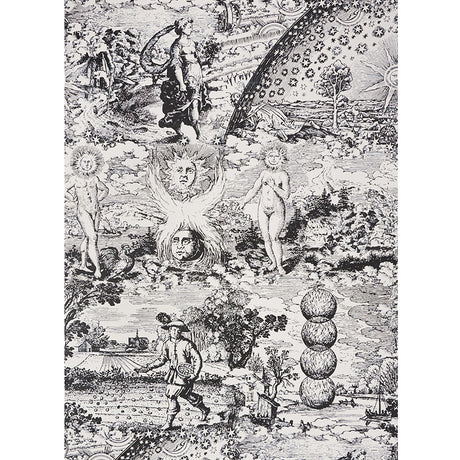 Schumacher Modern Toile Black Wallpaper - Eade's Wallpaper