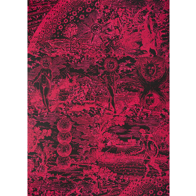 Schumacher Modern Toile Pink & Black Wallpaper - Eade's Wallpaper