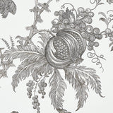 Schumacher San Cristobal Toile Black Wallpaper - Eade's Wallpaper