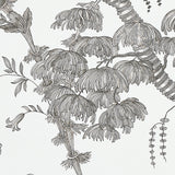 Schumacher San Cristobal Toile Black Wallpaper - Eade's Wallpaper