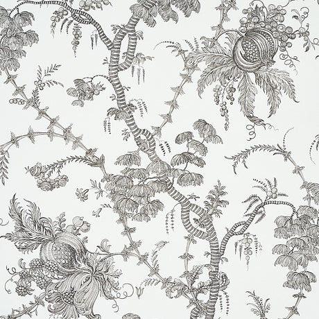 Schumacher San Cristobal Toile Black Wallpaper - Eade's Wallpaper