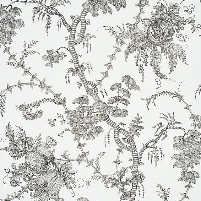 Schumacher San Cristobal Toile Black Wallpaper - Eade's Wallpaper