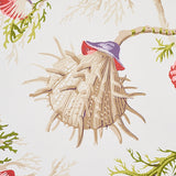 Eade’s PURPLE & CORAL