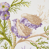 Eade’s PURPLE & CORAL