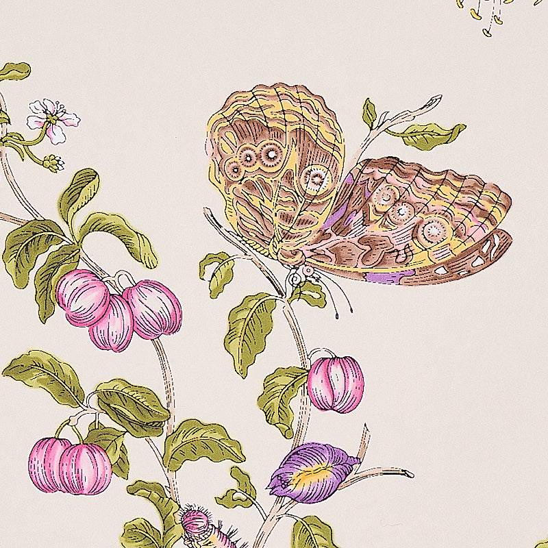 Schumacher Baudin Butterfly Purple Wallpaper