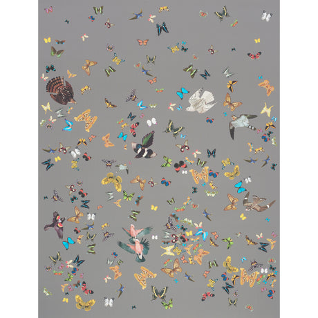 Schumacher Queen'S Flight Panel Set Grey Wallpaper - Eade's Wallpaper