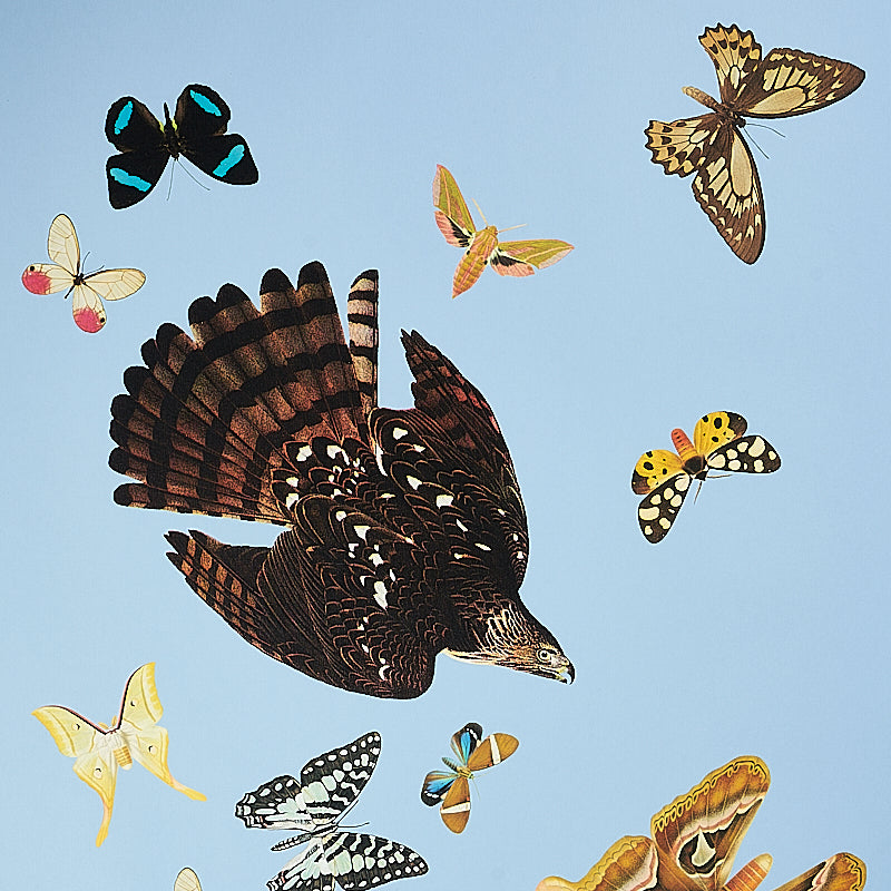 Schumacher Queen'S Flight Panel Set Sky Wallpaper - Eade's Wallpaper