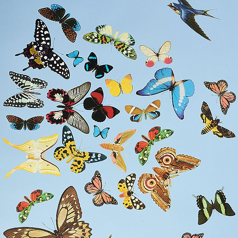 Schumacher Queen'S Flight Panel Set Sky Wallpaper - Eade's Wallpaper