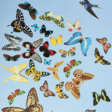 Schumacher Queen'S Flight Panel Set Sky Wallpaper - Eade's Wallpaper