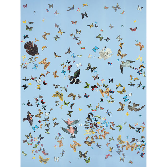 Schumacher Queen'S Flight Panel Set Sky Wallpaper - Eade's Wallpaper