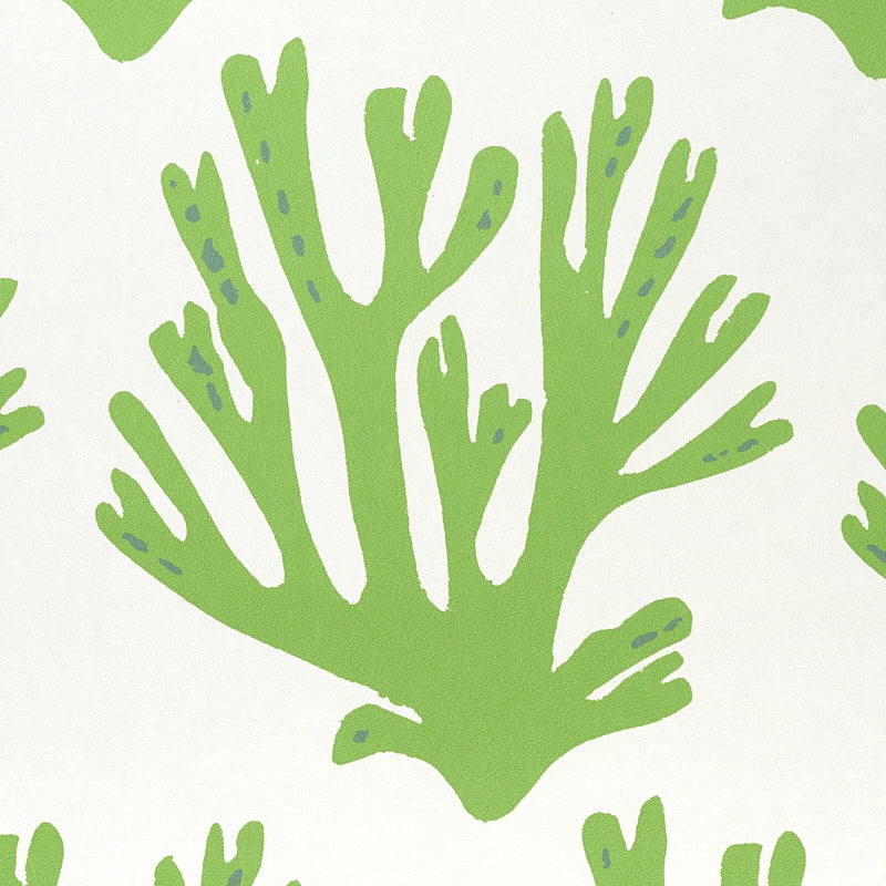 Schumacher Coral Green Wallpaper