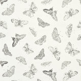 Schumacher Burnell Butterfly Ivory Wallpaper