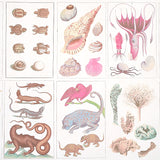 Schumacher Bauhin Soft Multi Wallpaper