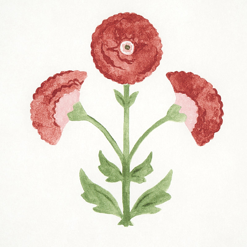 Schumacher Saranda Flower Cardinal Wallpaper - Eade's Wallpaper