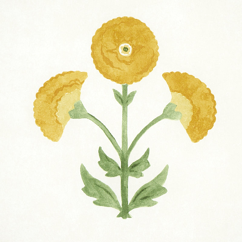 Schumacher Saranda Flower Marigold Wallpaper - Eade's Wallpaper