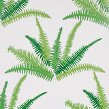 Schumacher Canyon Ferns Jungle Wallpaper