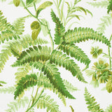 Schumacher Myers Fern Tropical Wallpaper - Eade's Wallpaper