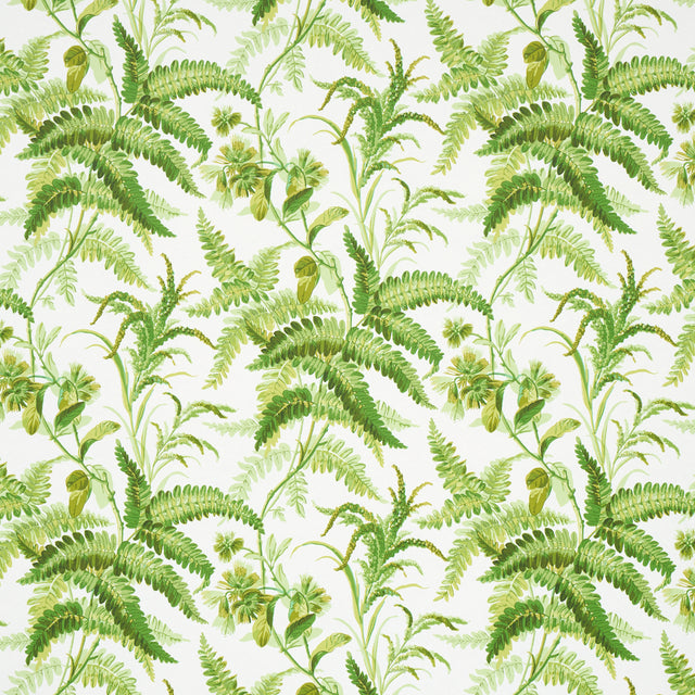 Schumacher Myers Fern Tropical Wallpaper - Eade's Wallpaper