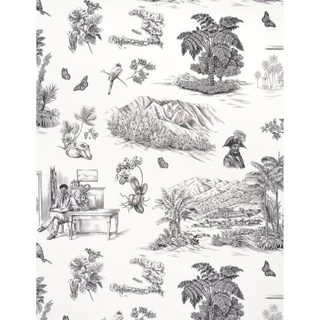 Schumacher Toussaint Toile Black On Ivory Wallpaper - Eade's Wallpaper