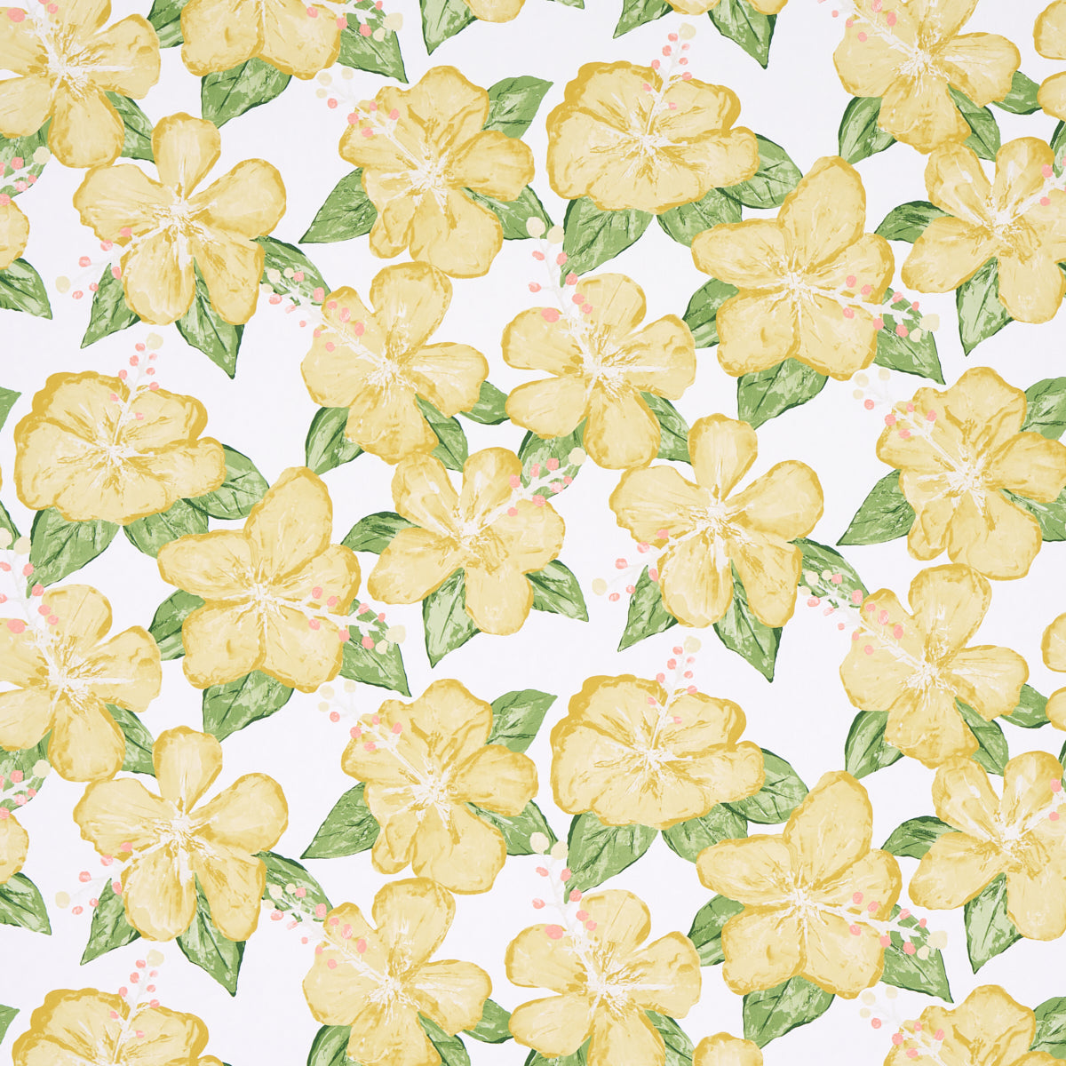 Eade’s YELLOW