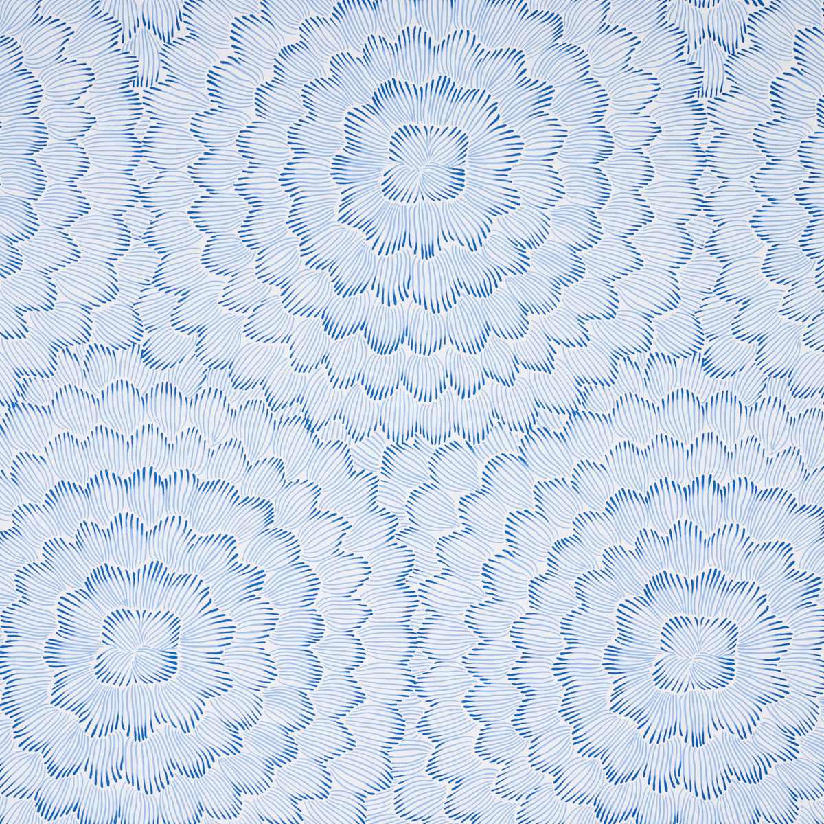 Schumacher Feather Bloom Blue Wallpaper