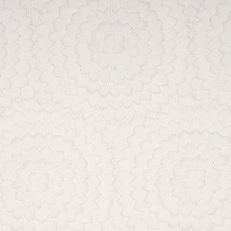 Eade’s SOFT NEUTRAL