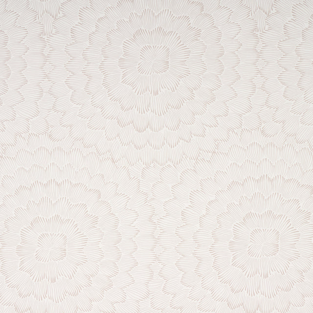 Eade’s SOFT NEUTRAL