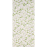 Eade’s SOFT NEUTRAL