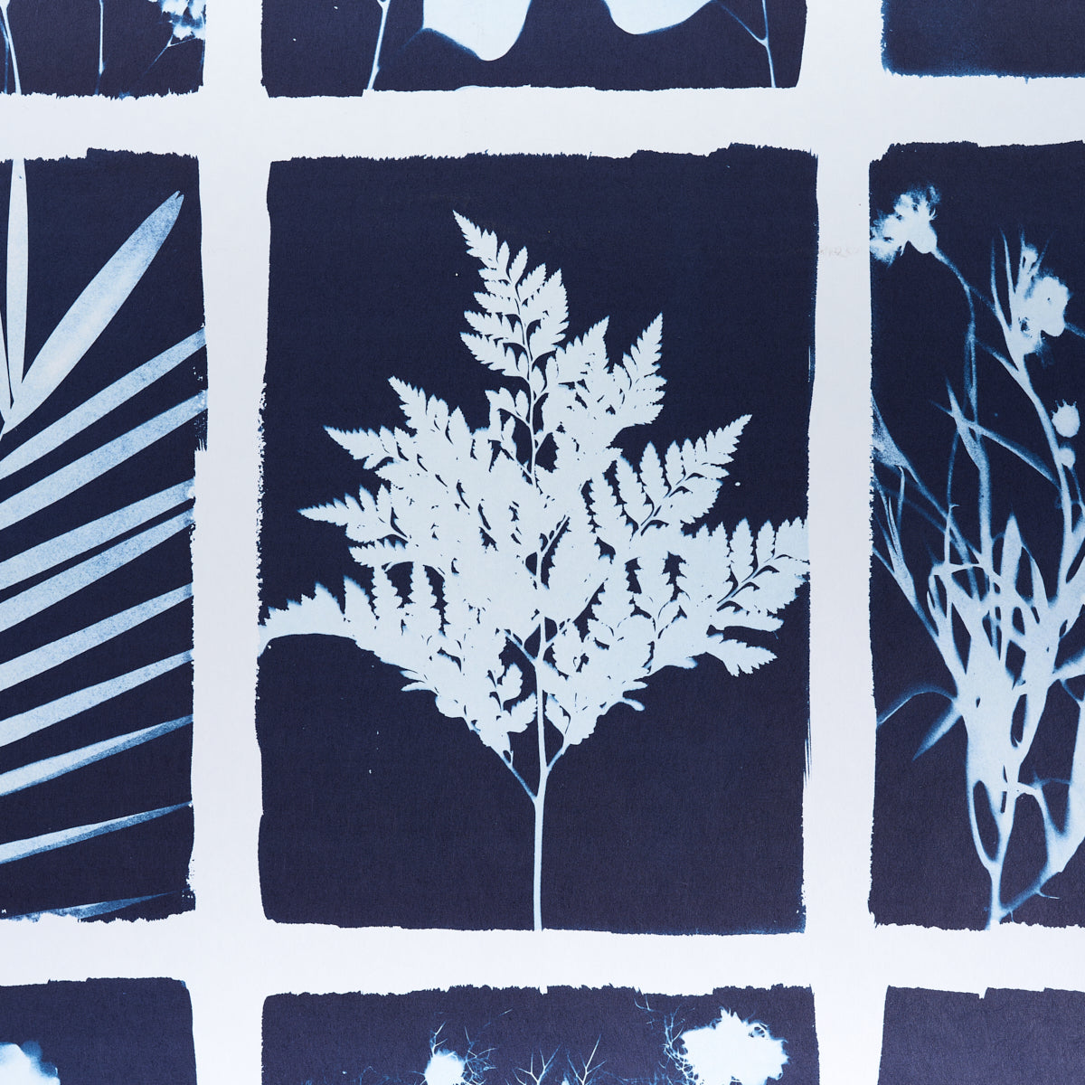 Schumacher Cyanotype Panel Indigo Wallpaper