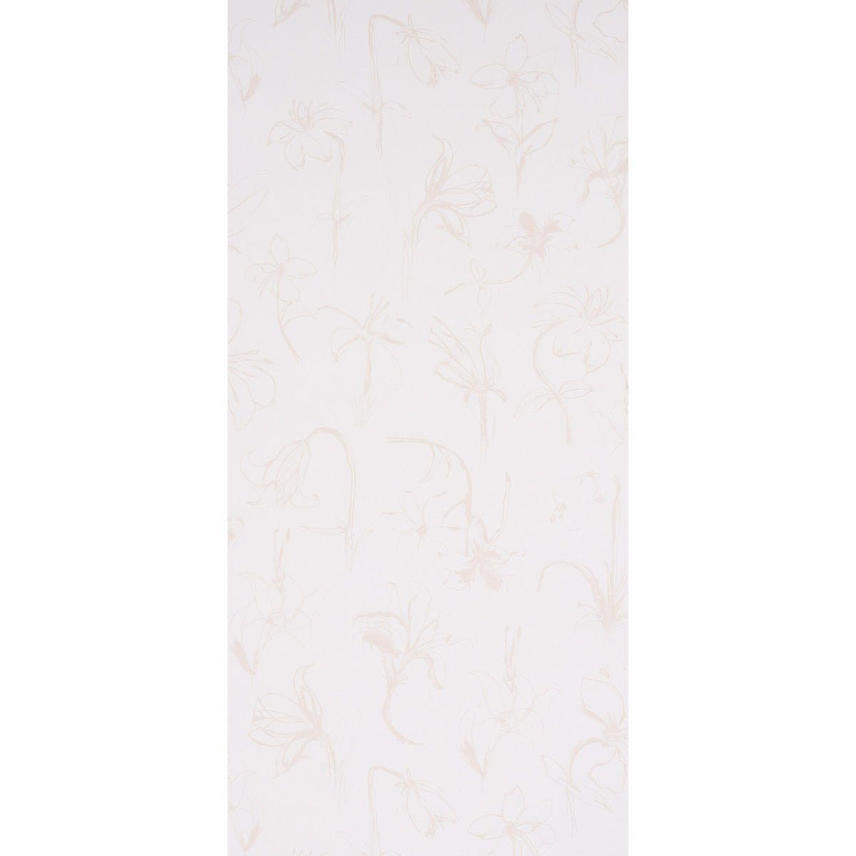 Eade’s LIGHT NEUTRAL