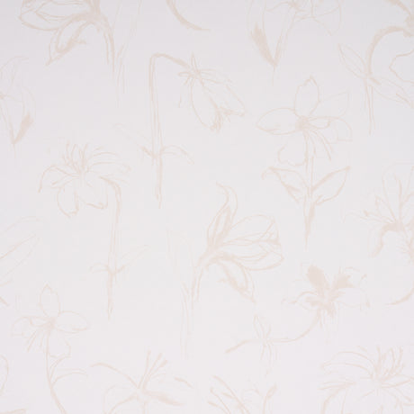 Eade’s LIGHT NEUTRAL