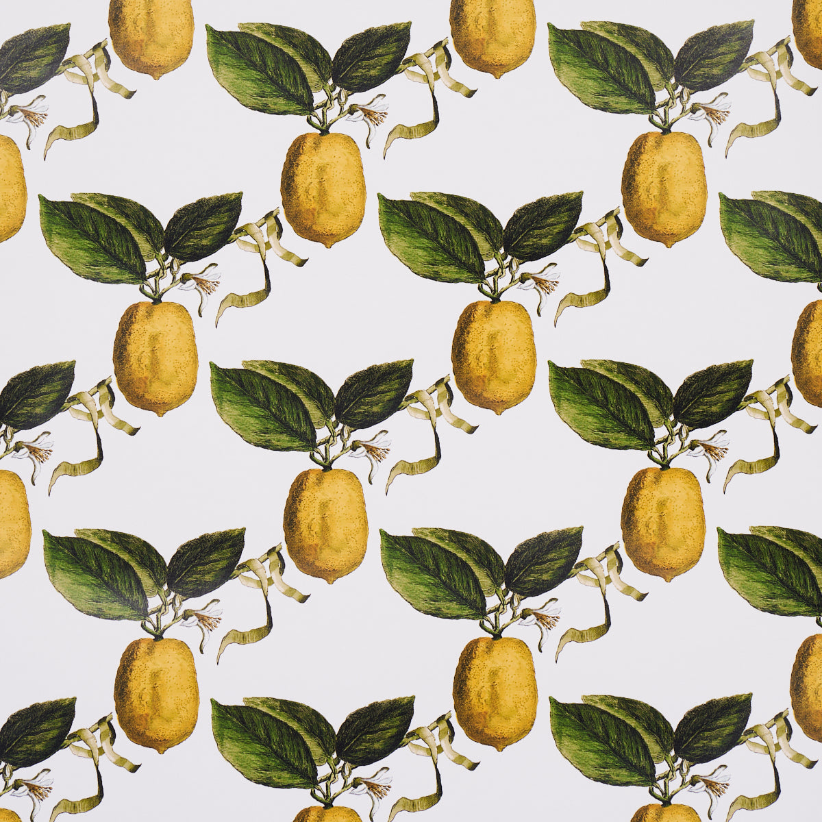 Schumacher Le Citron Ivory Wallpaper - Eade's Wallpaper