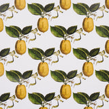 Schumacher Le Citron Ivory Wallpaper - Eade's Wallpaper