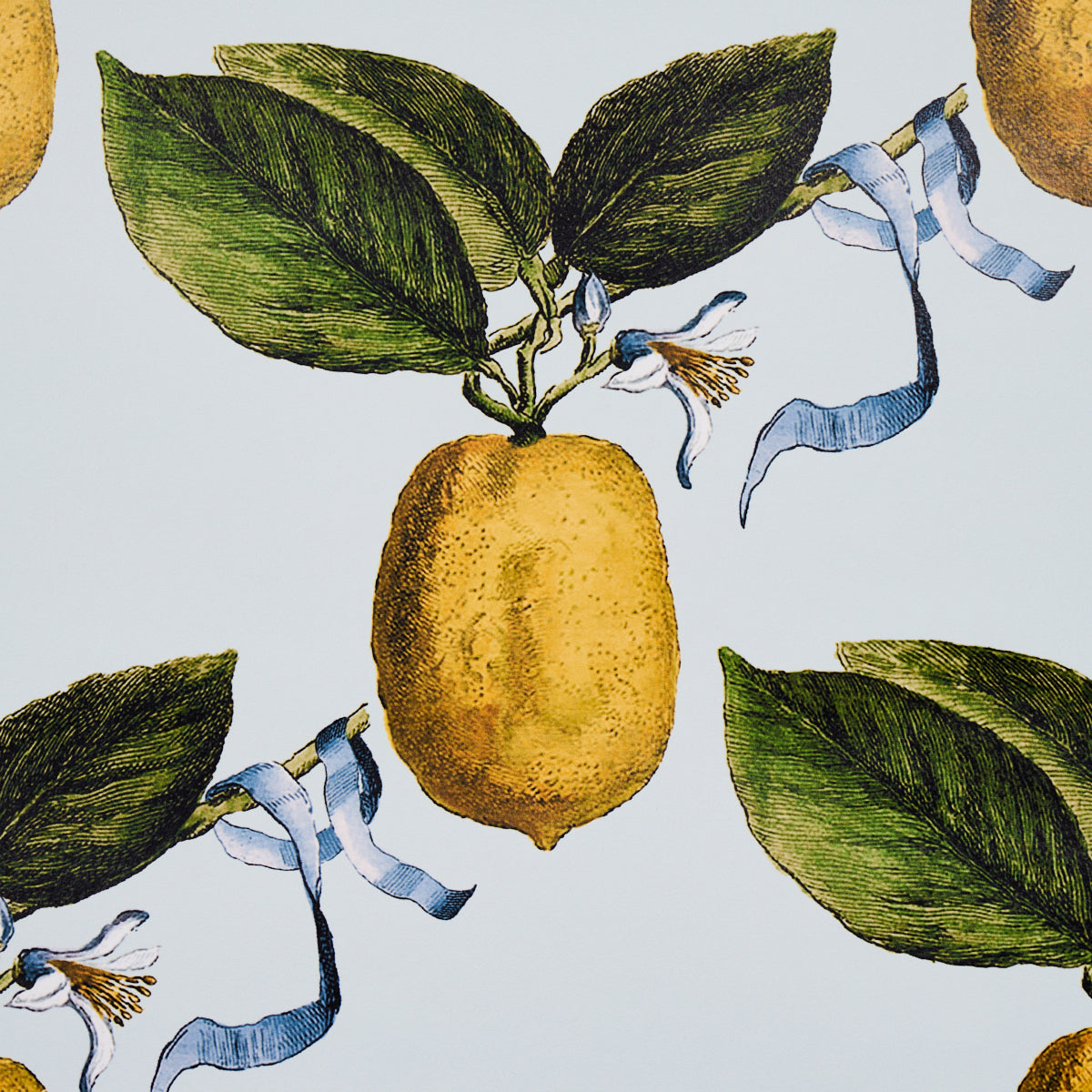 Schumacher Le Citron Sky Wallpaper - Eade's Wallpaper