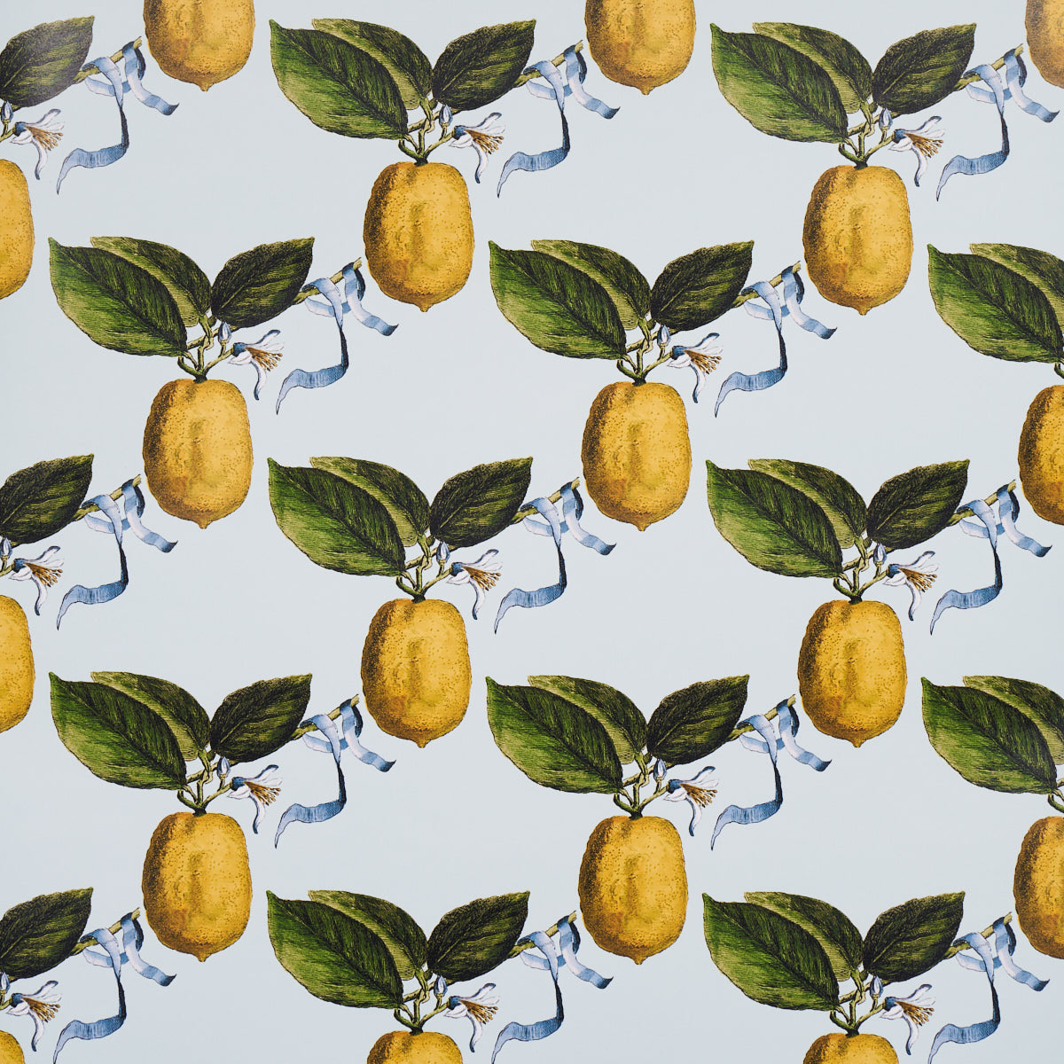 Schumacher Le Citron Sky Wallpaper - Eade's Wallpaper