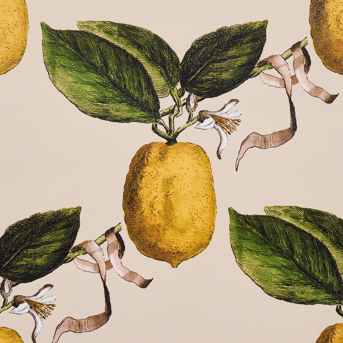 Schumacher Le Citron Natural Wallpaper - Eade's Wallpaper