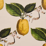 Schumacher Le Citron Natural Wallpaper - Eade's Wallpaper