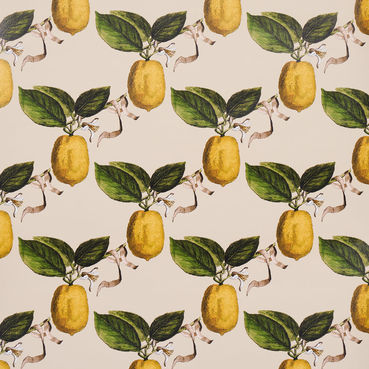 Schumacher Le Citron Natural Wallpaper - Eade's Wallpaper