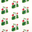 Schumacher Strawberry Hill White Wallpaper - Eade's Wallpaper