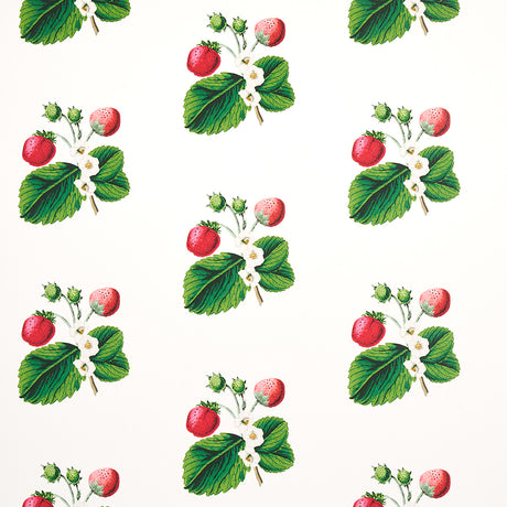 Schumacher Strawberry Hill White Wallpaper - Eade's Wallpaper