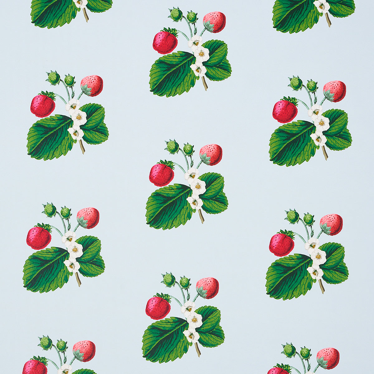 Schumacher Strawberry Hill Blue Wallpaper - Eade's Wallpaper