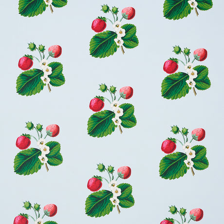 Schumacher Strawberry Hill Blue Wallpaper - Eade's Wallpaper