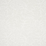Schumacher Bougainvillea Leaf Green Wallpaper