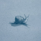 Schumacher Ouvrez Moi Blue Wallpaper - Eade's Wallpaper