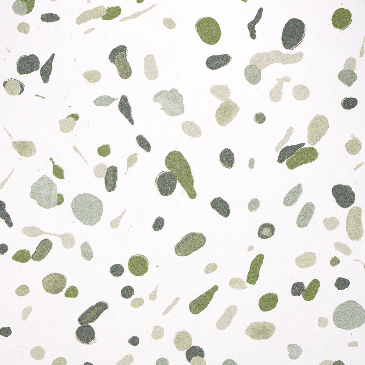 Schumacher Los Cosmos Moss Wallpaper - Eade's Wallpaper
