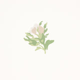 Schumacher Margie Floral Gris Wallpaper - Eade's Wallpaper