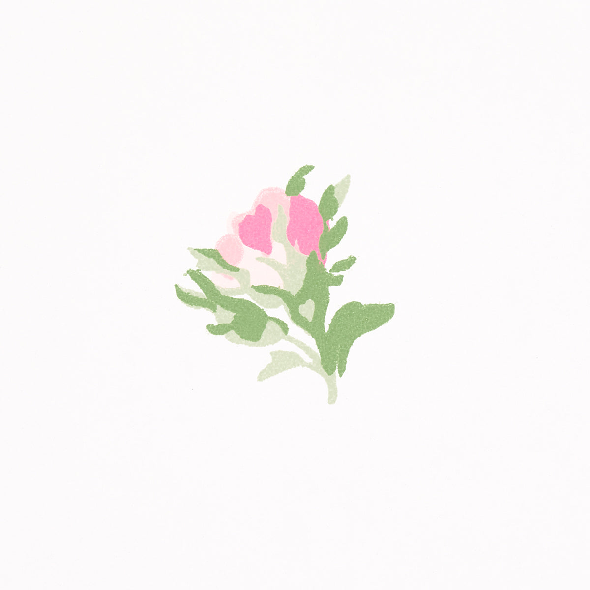 Schumacher Margie Floral Rose Wallpaper - Eade's Wallpaper